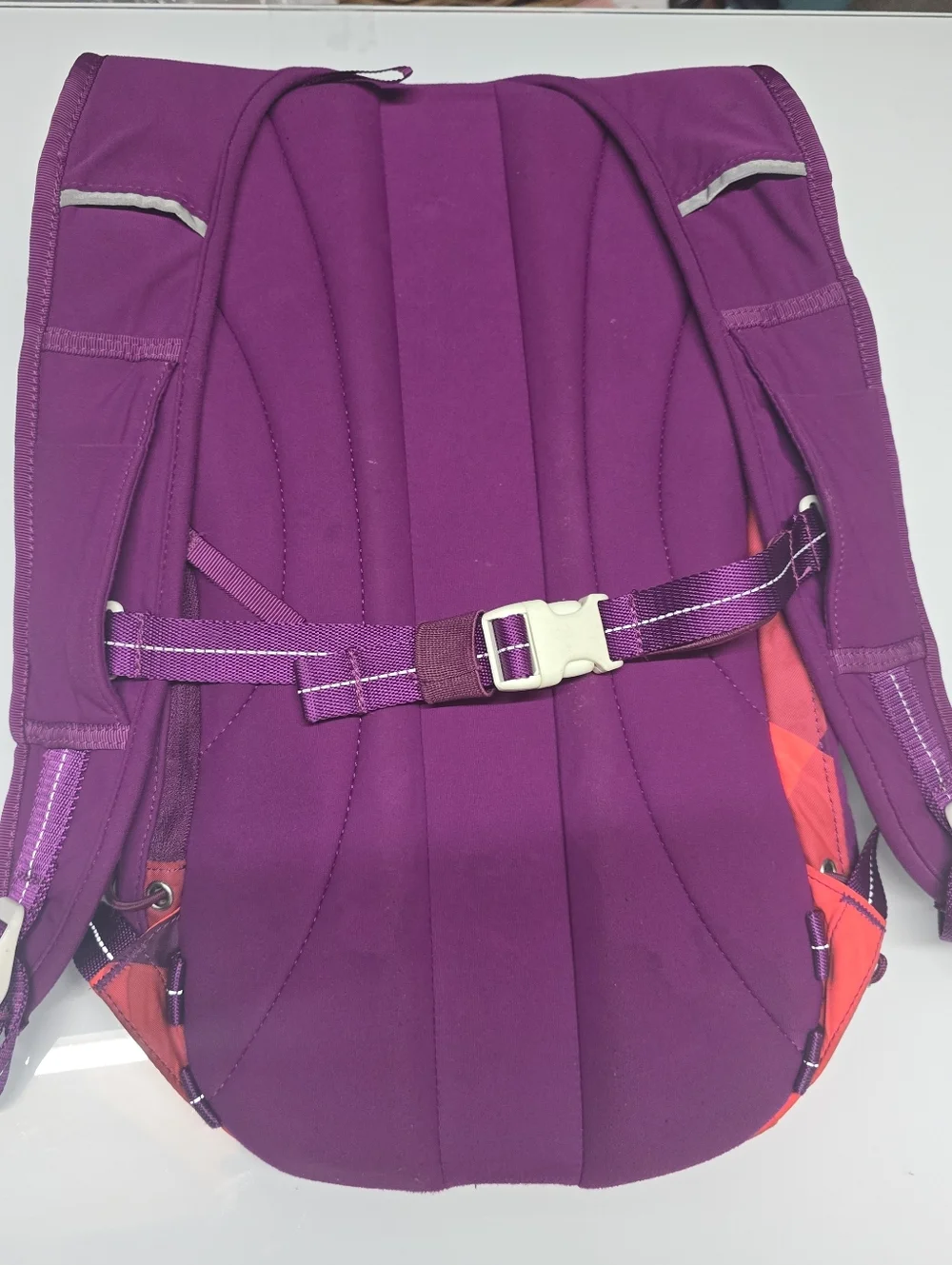 Lululemon Run All Day Backpack Oversized Electric Coral Regal‎ Plum Pink Storage